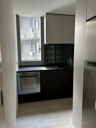 Amber Park (D15), Condominium #565545911